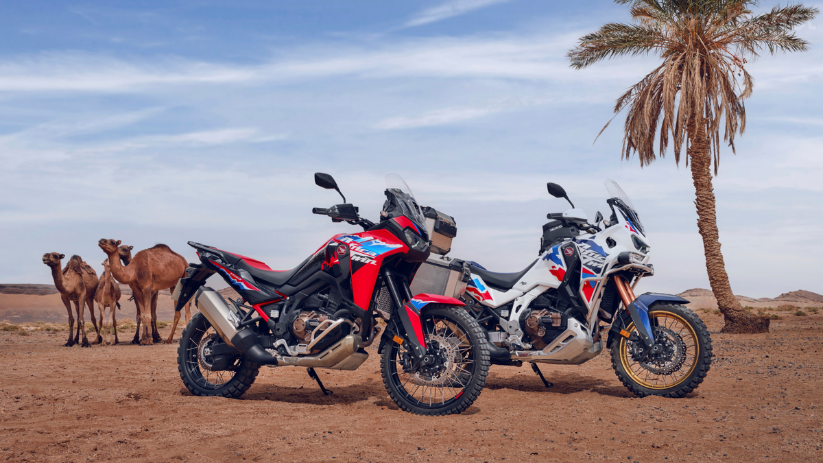 honda africa twin vs ktm